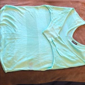Express Spring Sweater in Mint